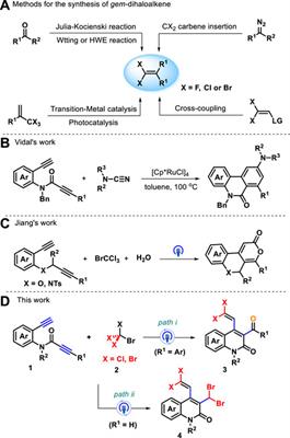 Photoinduced radical tandem annulation of 1,7-diynes: an approach for divergent assembly of functionalized quinolin-2(1H)-ones